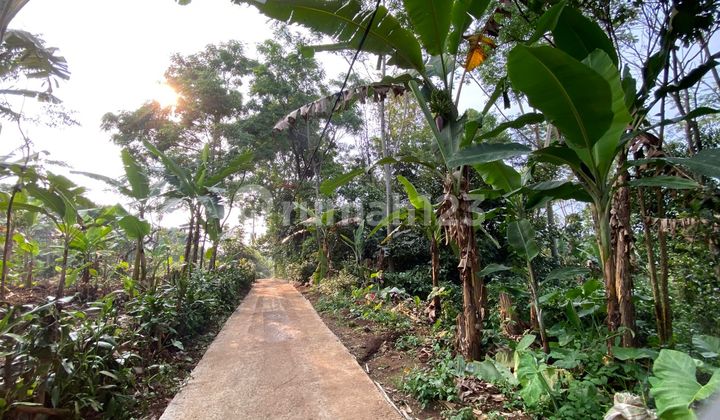 Dijual Murah Tanah Akses Mobil di Dekat Wisata Taman Batu Purwakarta  