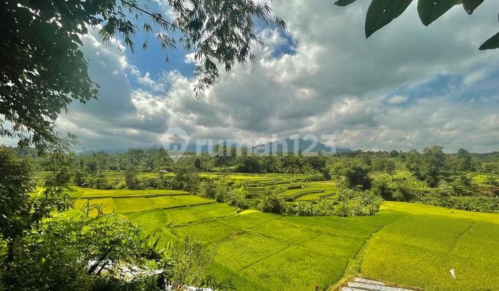 Jual Tanah Sawah Pinggir Sungai Udara Sejuk Bojong Purwakarta