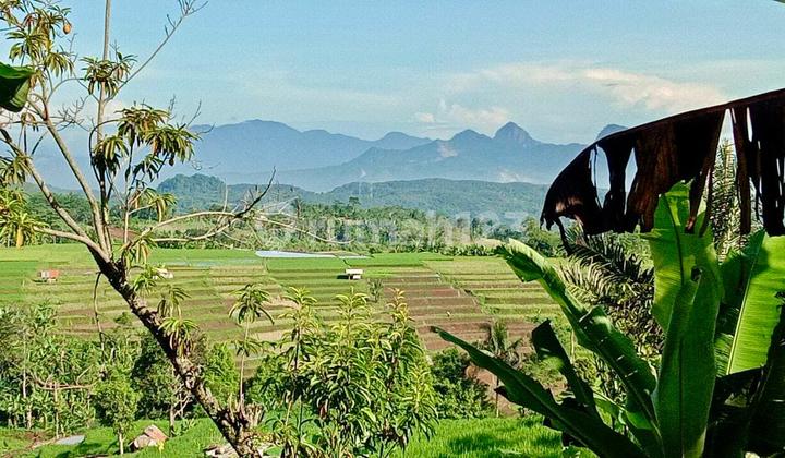 Jual Tanah Kebun di Perkampungan Kertasari Bojong Purwakarta