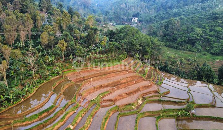 Jual Tanah Kebun dan Sawah View Bagus Pinggir Jalan di Bandung Barat Jual Tanah Kebun dan Sawah View Bagus Pinggir Jalan di Bandung Barat