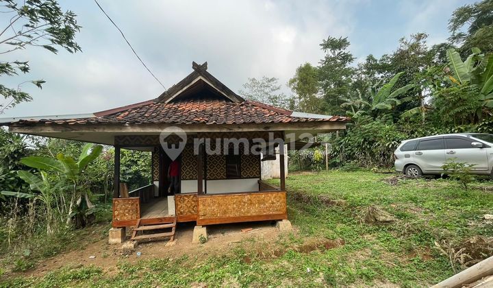 Jual Rumah Bambu + Kebun Luas 776 m2 Akses Mobil di Bojong Purwakarta