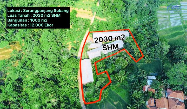 Dijual Tanah + Kandang Peternakan Ayam Masih Aktif di Serangpanjang Subang