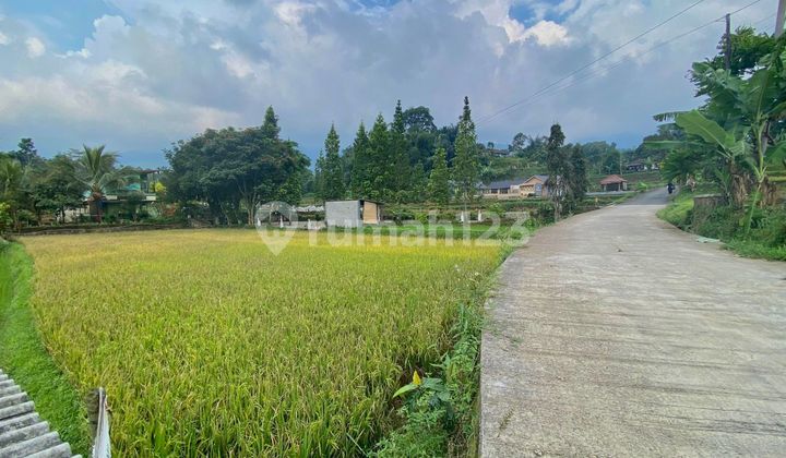 Dijual Tanah Sawah Kasawan Villa Udara Dingin Wanayasa Purwakarta
