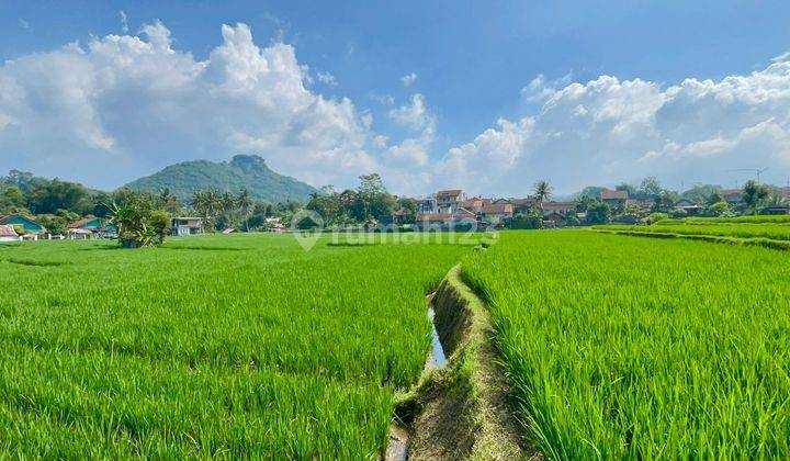 Dijual Tanah Sawah Produktif Dekat Gerbang Tol Cimalaka Sumedang 1