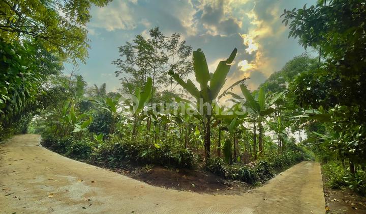 Dijual Tanah Datar Kebun Pisang Posisi Hook di Bojong Purwakarta