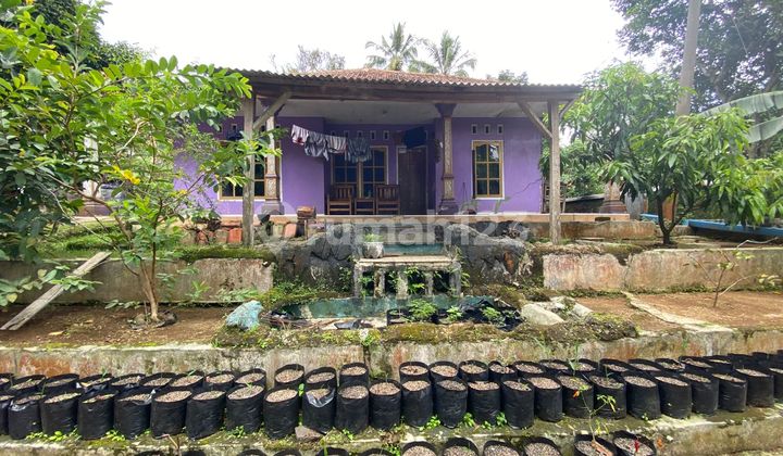Jual Rumah Kampung + Kebun 705 m2 Dekat Tol Darangdan Purwakarta