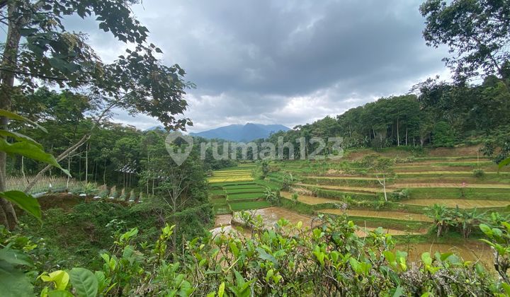 Cheap Sale of Cold Air Garden Land in Bojong Purwakarta