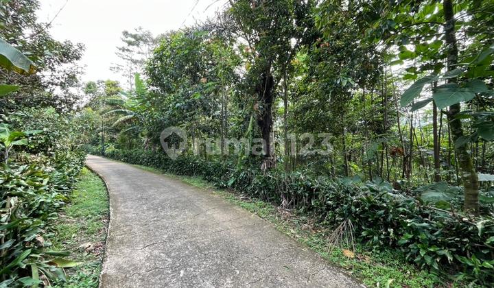Dijual Tanah Kebun Manggis Pinggir Jalan Mobil di Wanayasa Purwakarta