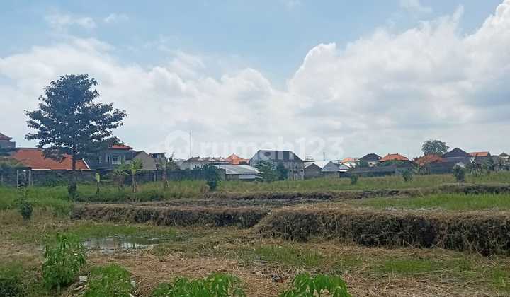 Leasehold Land In Abianbase Badung. 15 Minutes To Canggu