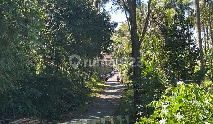 Leasehold For Sale In Payangan Ubud - Keliki Leasehold For Sale In Payangan Ubud - Keliki