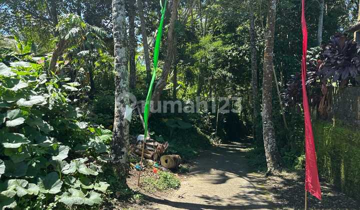 Leasehold For Sale In Payangan Ubud - Keliki Leasehold For Sale In Payangan Ubud - Keliki