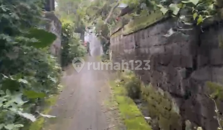 Leasehold Land Munggu Kapal Near Seseh 500m2 [5- Are]