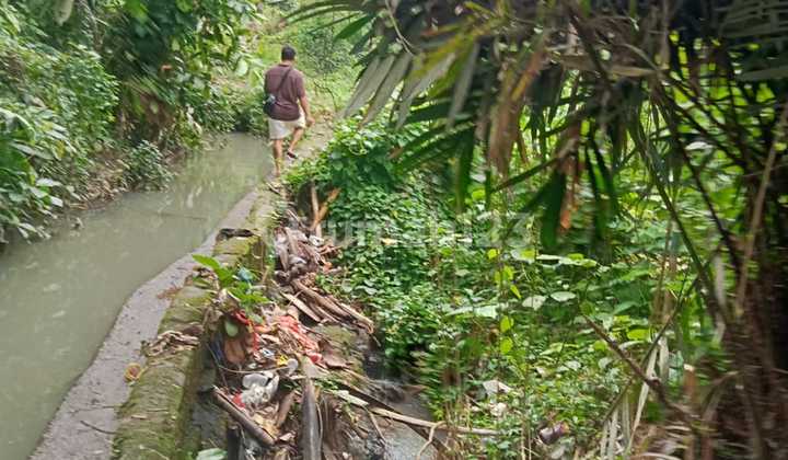 Leasehold Land In Buwit Tabanan Bali. Size 300m2 [3 Are]