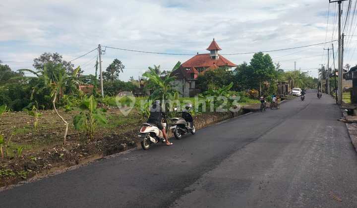 Super Rare Premium Land For Rent In Kengetan Ubud 2