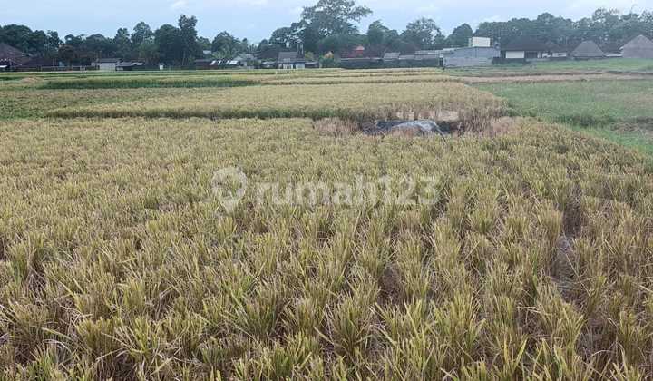 For Sale: 20 Are (2,000m2) of Land Near the Beach, Strategic Location