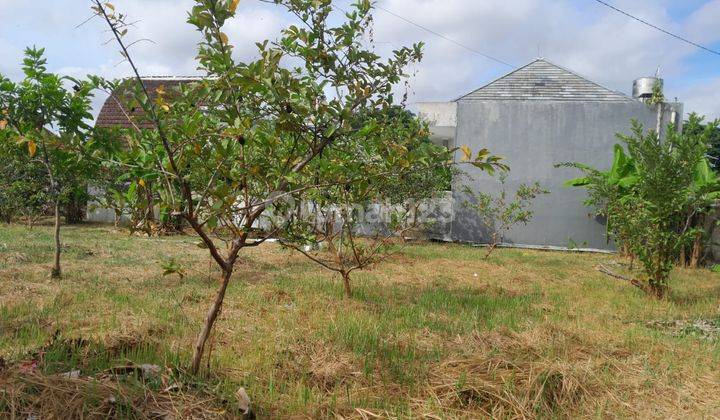 Lease Hold Land Ready To Build Location Kerobokan Nearby Umalas
