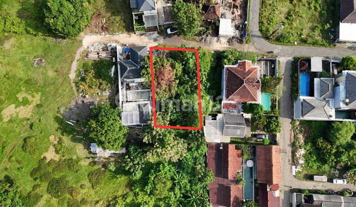 Disewakan Tanah 405M2 Jimbaran Dekat Universitas Unud dan Pantai Disewakan Tanah 405M2 Jimbaran Dekat Universitas Unud dan Pantai