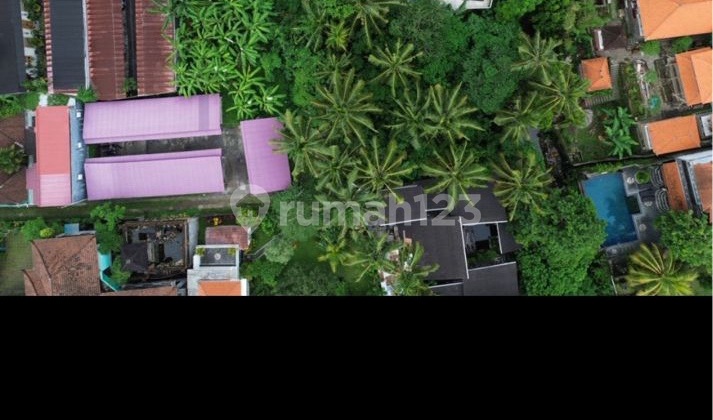 Land For Leasejalan Bisma Ubudprime Location Land For Leasejalan Bisma Ubudprime Location