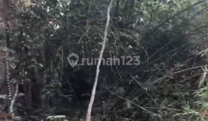 Tanah Sewa Buwit Tabanan Bali Dekat Canggu Pemandangan Sungai