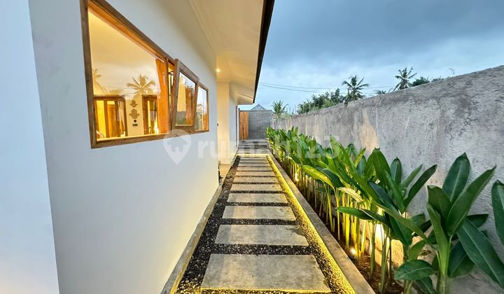 For Rent Villa Or For Leasehold 25 Year Lodtunduh Ubud Rice Field View