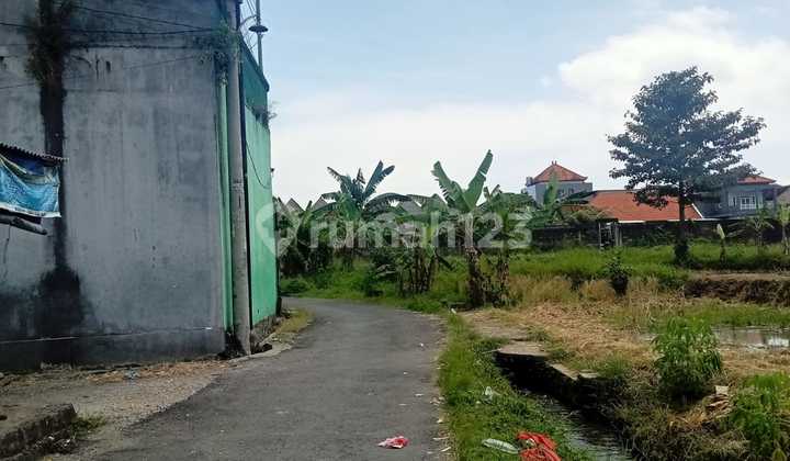 Leasehold Land In Abianbase Badung. 15 Minutes To Canggu