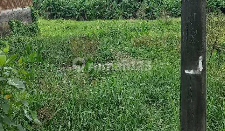 Leasehold Land 10 Ara View Rice Field