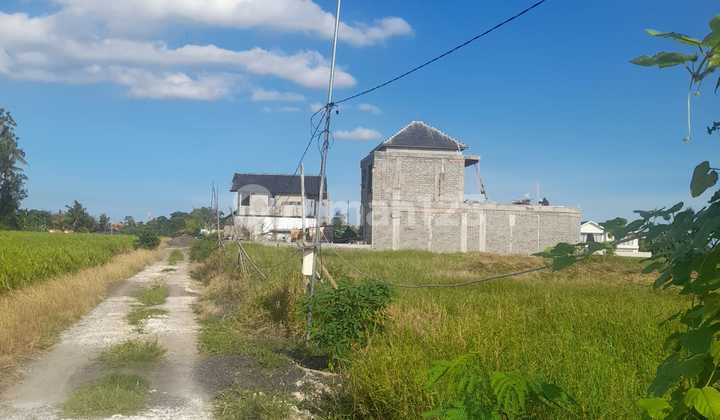 Tanah Sewa di Kedungu 5 Menit ke Pantai Kedungu Tanah Sewa di Kedungu 5 Menit ke Pantai Kedungu