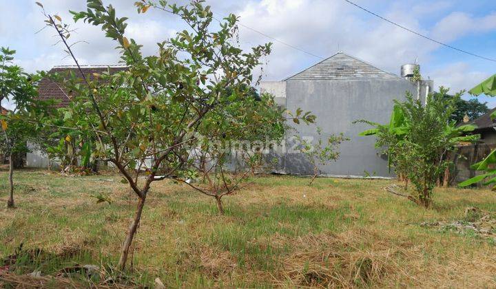 Lease Hold Land Ready To Build Location Kerobokan Nearby Umalas