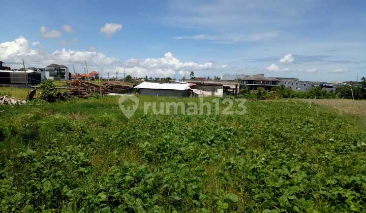 Land for Rent Near Cemagi Beach Land for Rent Near Cemagi Beach