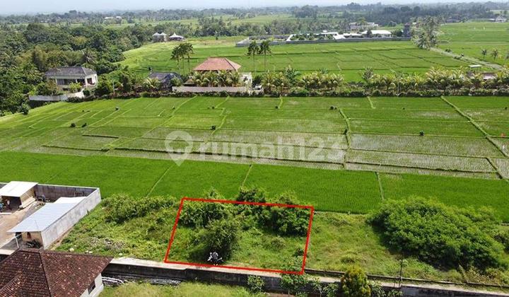 Dijual Tanah Small Plot Kaba-kaba 200m2 (2are) Residensial Aspect