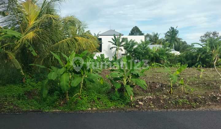 Super Rare Premium Land For Rent In Kengetan Ubud 1