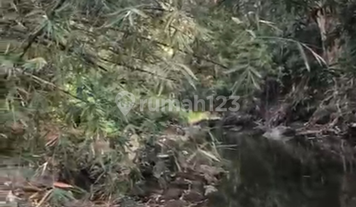 Tanah Sewa Buwit Tabanan Bali Dekat Canggu Pemandangan Sungai