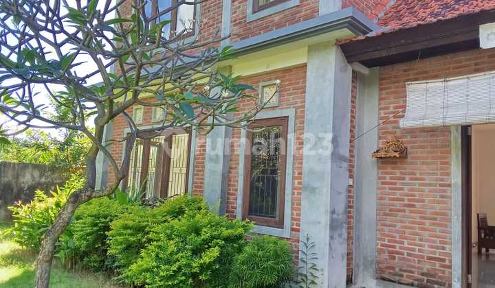 Disewakan Rumah Sanur yang Luas