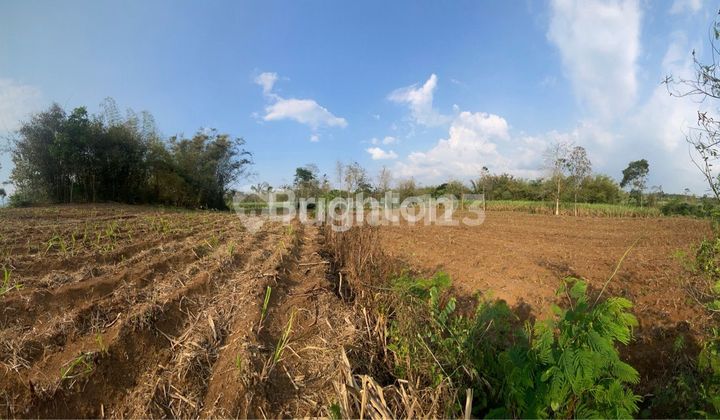 Dijual Murah Tanah Kebon Di Singosari Malang