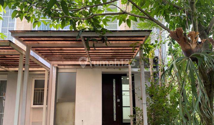 Disewakan Rumah 2 Lantai Area Binus Araya Malang Disewakan Rumah 2 Lantai Area Binus Araya Malang