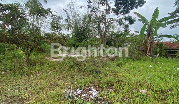 FOR SALE CHEAP LAND in KARANGPLOSO MALANG