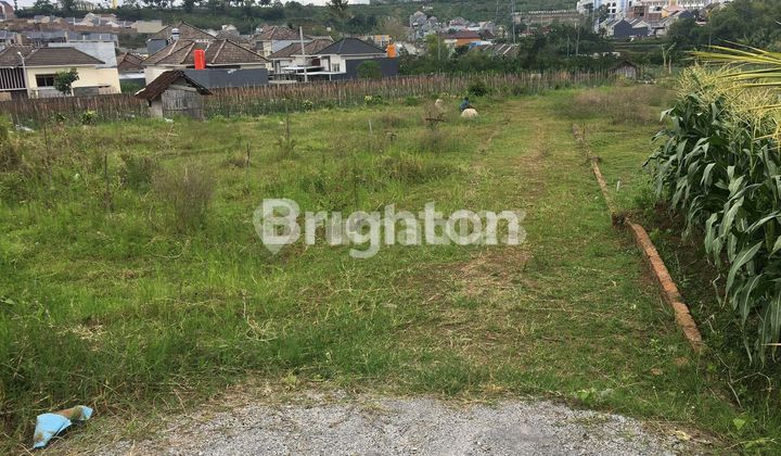 Dijual Murah Butuh Uang Tanah Di Sumbersekar Dau Dekat Dengan Kota Wisata Batu