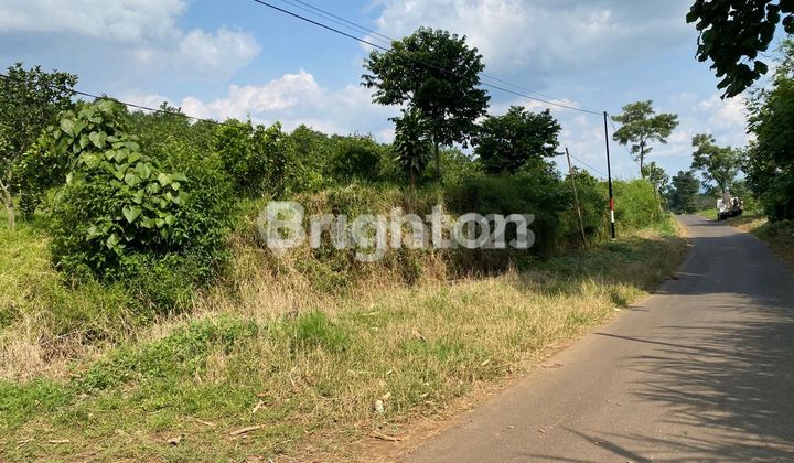 Tanah Lahan Kuning di Donowarih Karangploso Tanah Lahan Kuning di Donowarih Karangploso