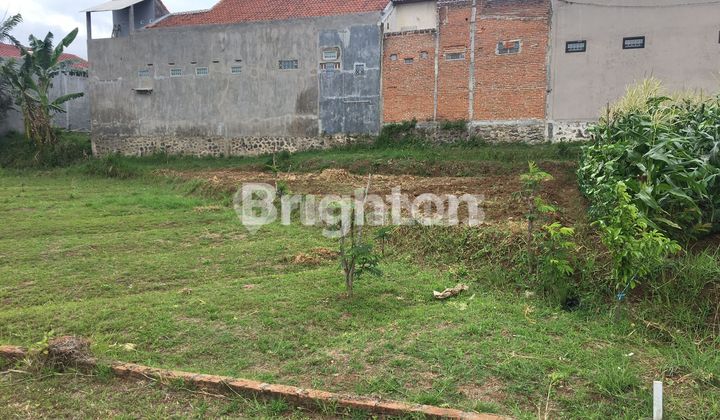 Dijual Murah Butuh Uang Tanah Di Sumbersekar Dau Dekat Dengan Kota Wisata Batu