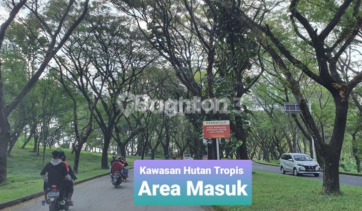 TANAH KAVLING DI TAMAN DAYU PANDAAN