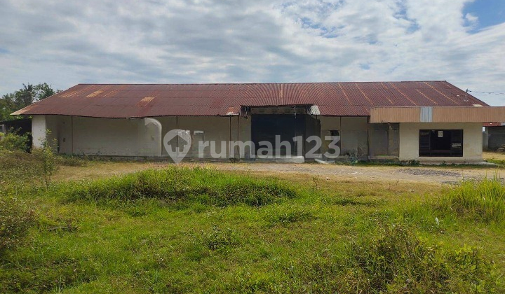 TANAH BESERTA GUDANG DAN RUKO DI JL RAYA BANYUWANGI SITUBONDO BISA NEGO TANAH BESERTA GUDANG DAN RUKO DI JL RAYA BANYUWANGI SITUBONDO BISA NEGO