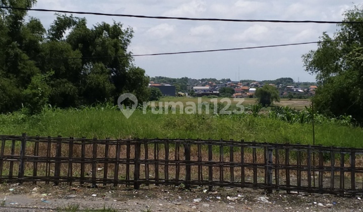 TANAH SHM COCOK UTK PERUMAHAN DI MULUNG DRIYOREJO GRESIK 5.340M2