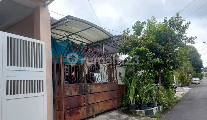 RUMAH SHM DI DARMO BARU BARAT, BUTUH RENOVASI LEBAR 9. RUMAH SHM DI DARMO BARU BARAT, BUTUH RENOVASI LEBAR 9.