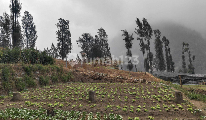 TANAH HGB 27.900M2 SUKAPURA G.BROMO, PROBOLINGGO. COCOK DIBANGUN UNTUK HOTEL