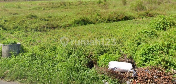 TANAH SHM KAVLING DI TELUK GOLF CITRALAND SURABAYA LOKASI CIAMIK