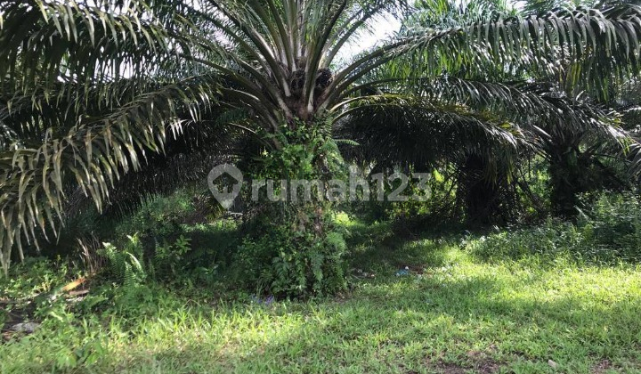 TANAH SHM 3.760M2 BINUANG BANJARMASIN, NOL JALAN RAYA A.YANI. 2