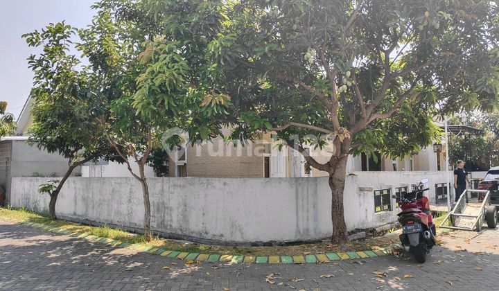 Hook House for Sale on Kembar Street, Grand Surya, Need to Sell Quickly