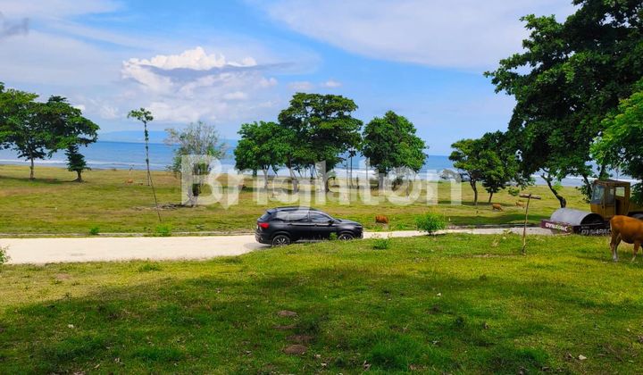 TANAH KAVLING PINGGIR PANTAI SABA TANAH KAVLING PINGGIR PANTAI SABA
