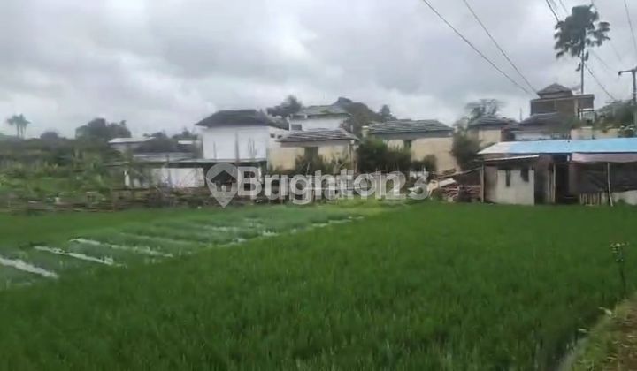 TANAH LOKASI STRATEGIS DI CANGGU – 14.5 ARE – COCOK UNTUK INVESTASI WISATA! TANAH LOKASI STRATEGIS DI CANGGU – 14.5 ARE – COCOK UNTUK INVESTASI WISATA!