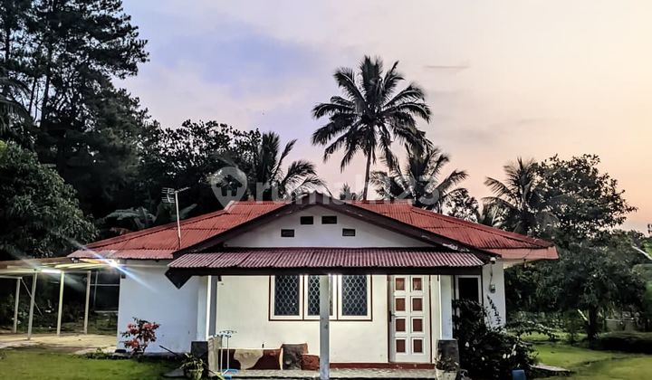 Villa Nyaman Murah di Cipari, Cisarua Bogor Villa Nyaman Murah di Cipari, Cisarua Bogor